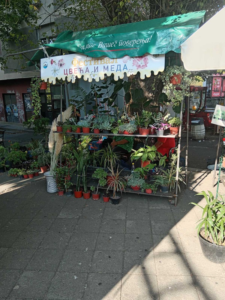 Одржан Јесењи фестивал цвећа и меда на Чукарици