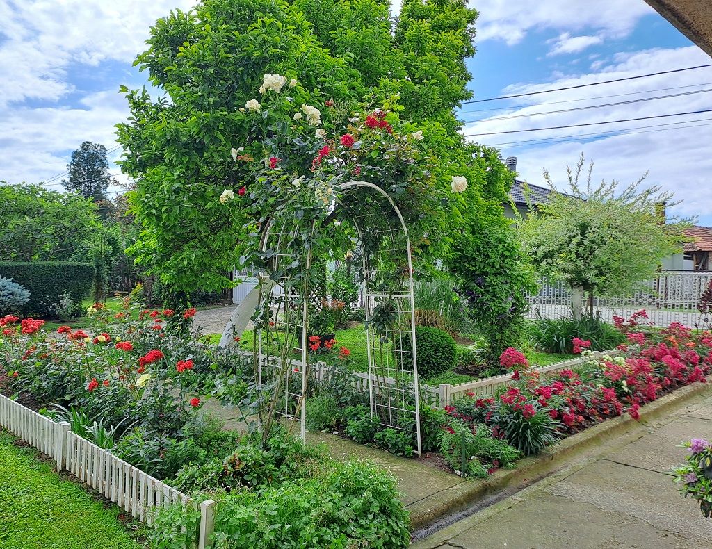 Почиње акција „Пролеће на Чукарици 2025“