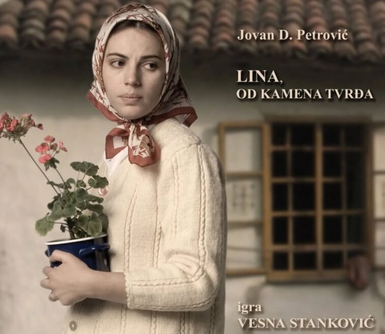 Хуманитарна представа на Чукарици