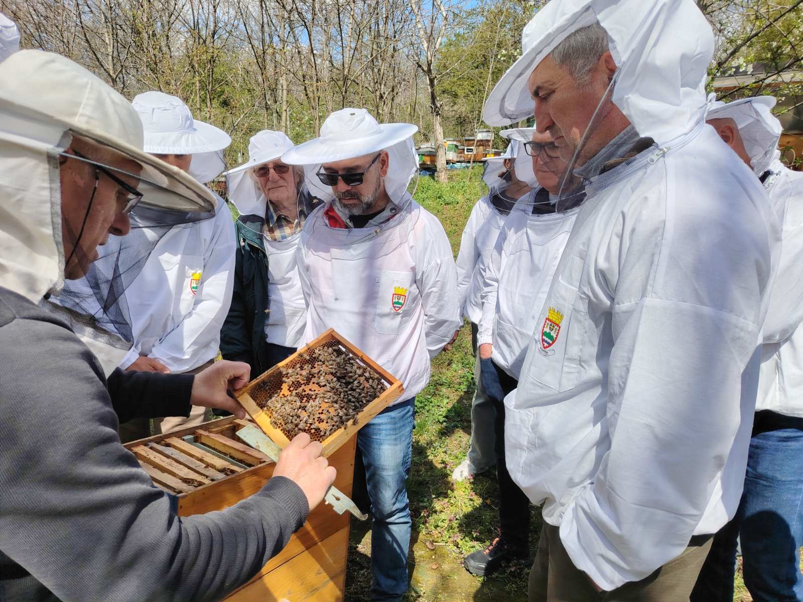 Завршен курс пчеларства за почетнике на Чукарици